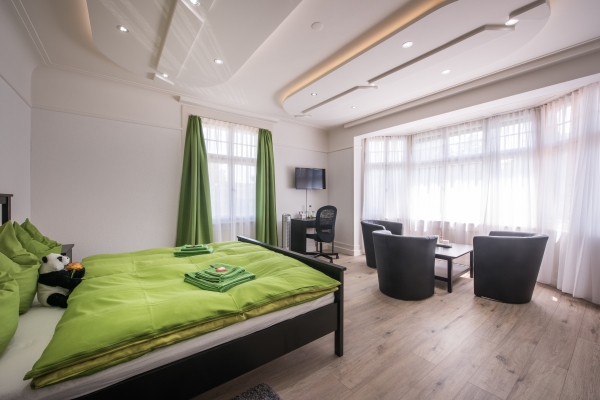 Hotel Max Aviation Villa (Bern)